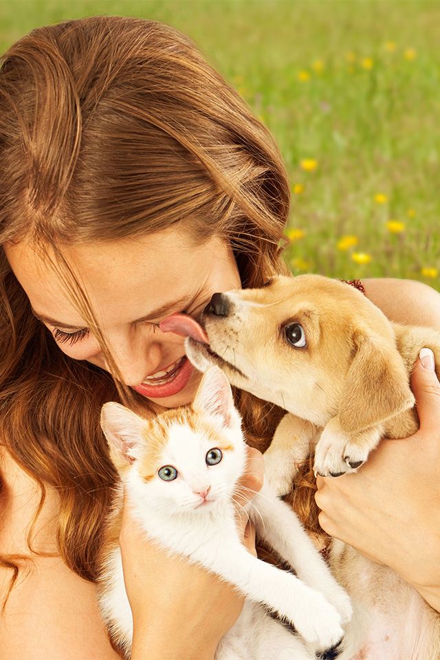 raiva - como proteger seus pets